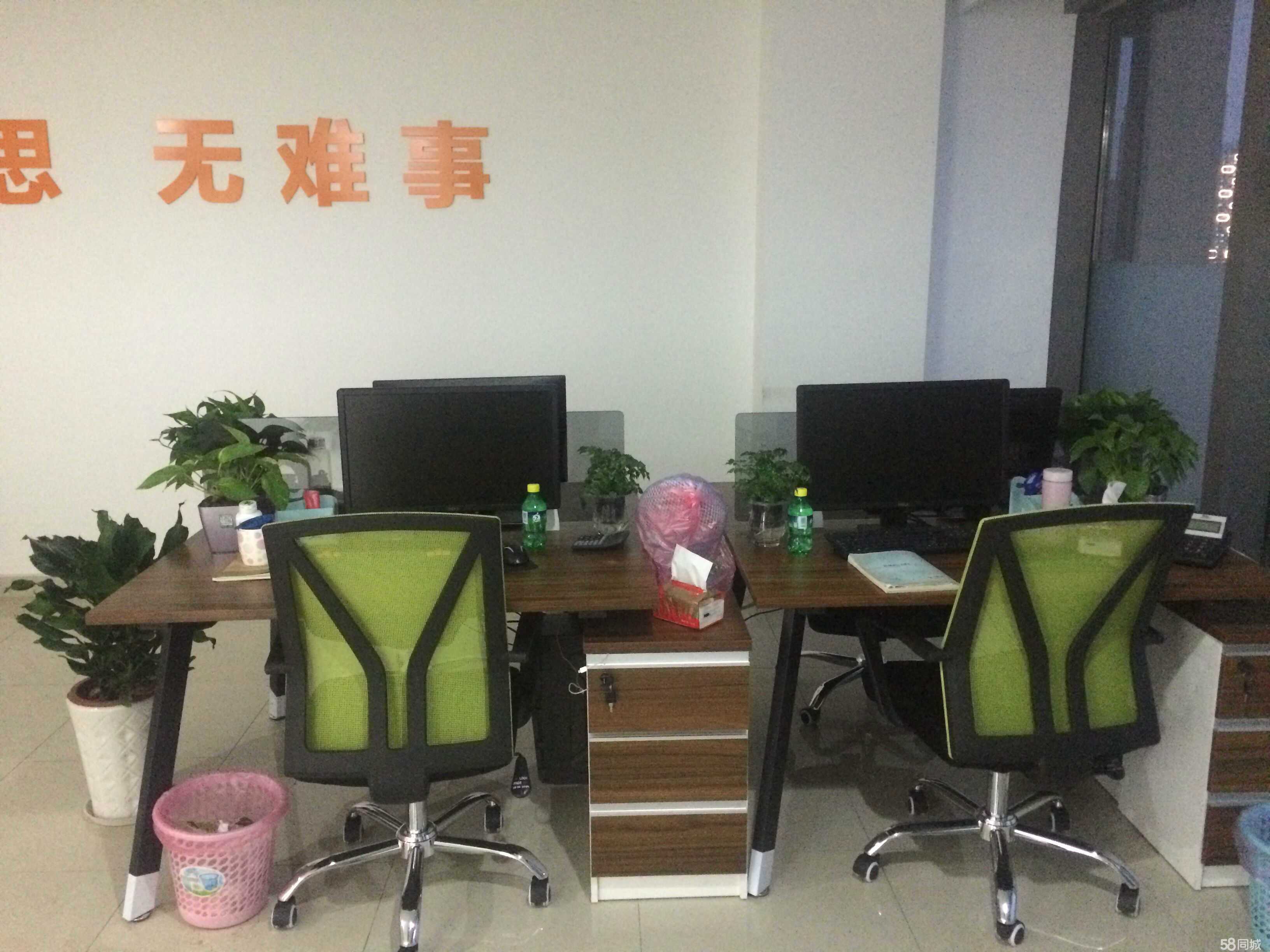 杭州苏汇网络科技 引领网络技术咨询服务的创新力量